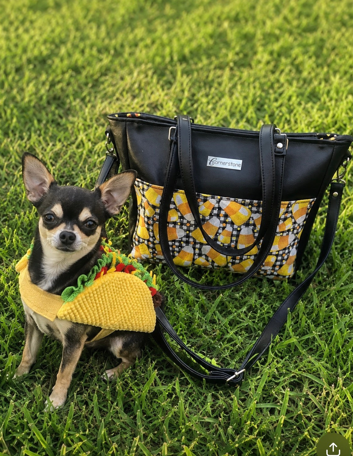 Becca bag with crossbody strap included