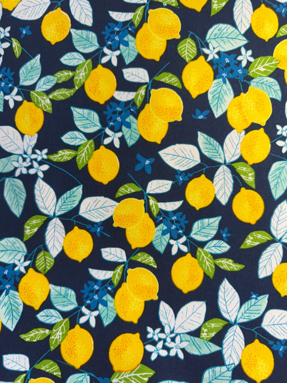 Lemon Garden Project Bag